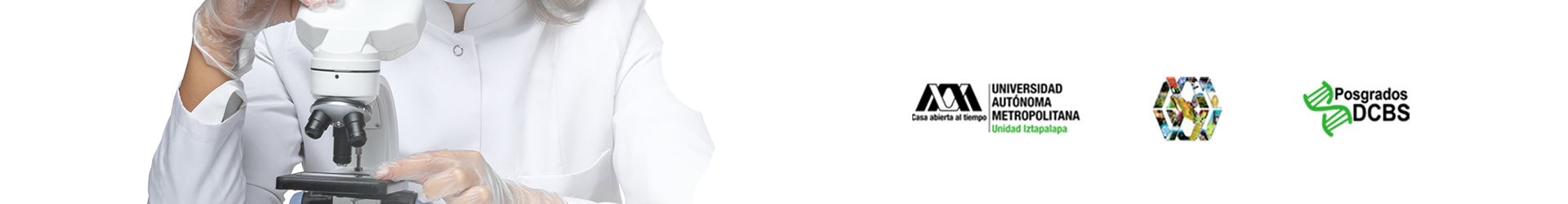 Banner izquierdo