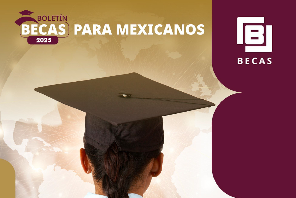 image of students in a collaborative study session