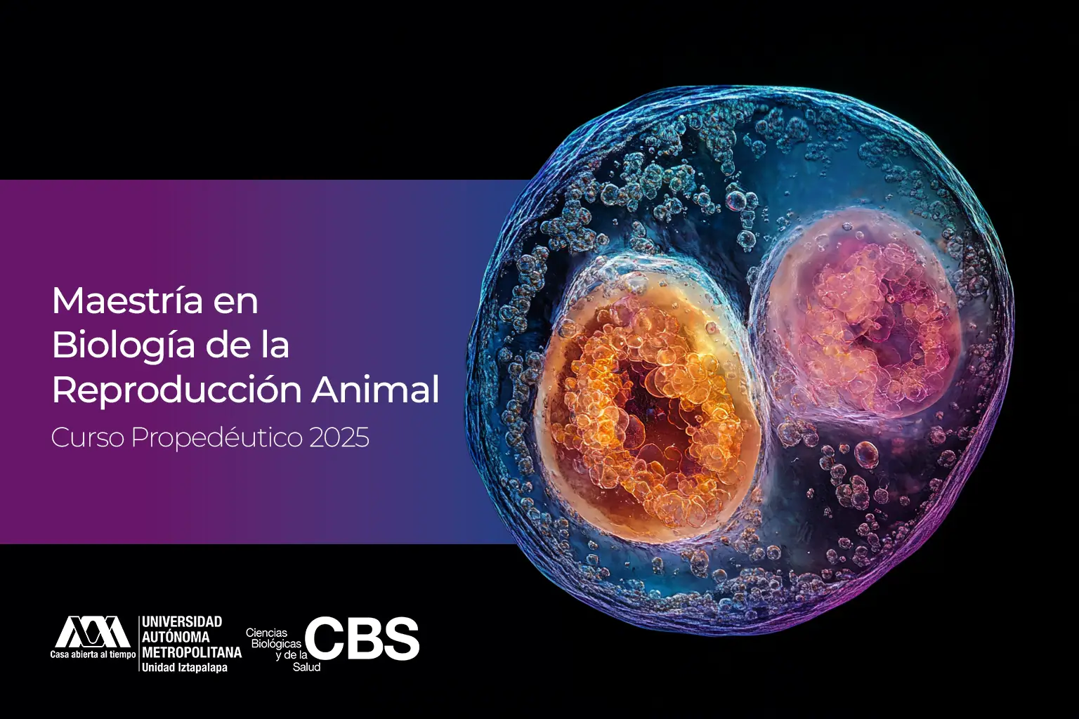 Curso Propedéutico 2025