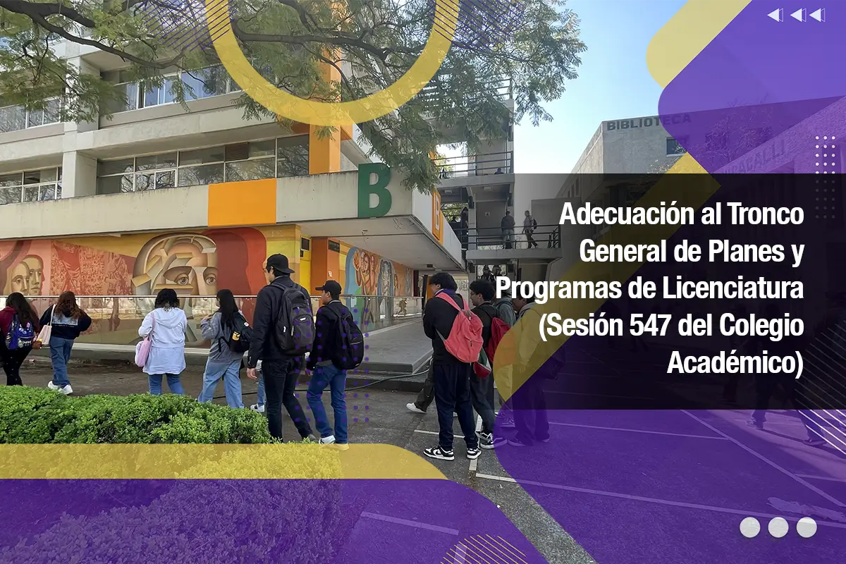 Adecuación al Tronco General de Planes y Programas de Licenciatura (Sesión 547 del Colegio Académico)