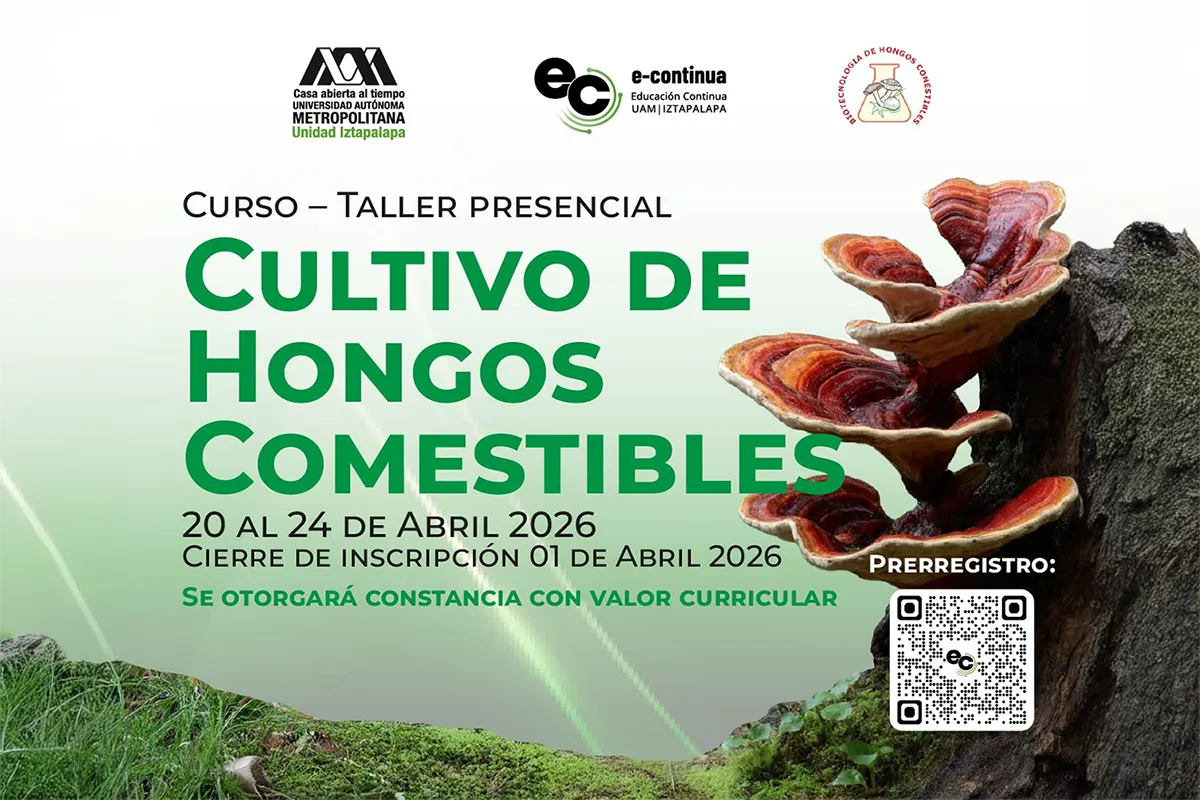 Curso–Taller Presencial | Cultivo de Hongos Comestibles
